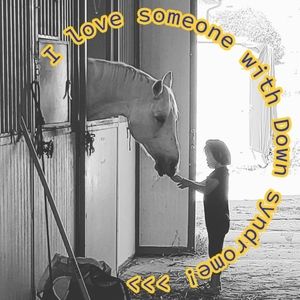 Meet your Posher, Dave stephanie